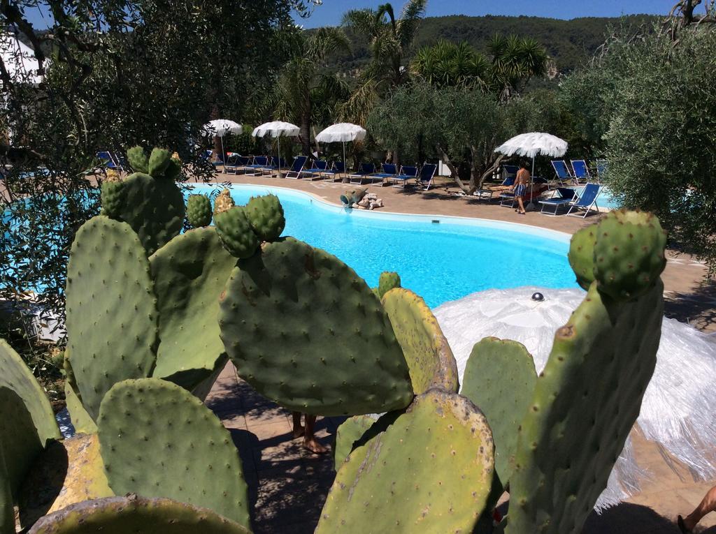 Residence Paradise Peschici Bagian luar foto